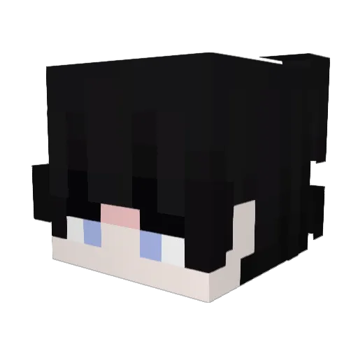 TheWiseOne98 Minecraft avatar head, 3D render