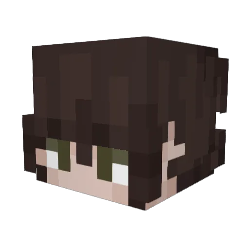 TheWitchElm Minecraft avatar head, 3D render