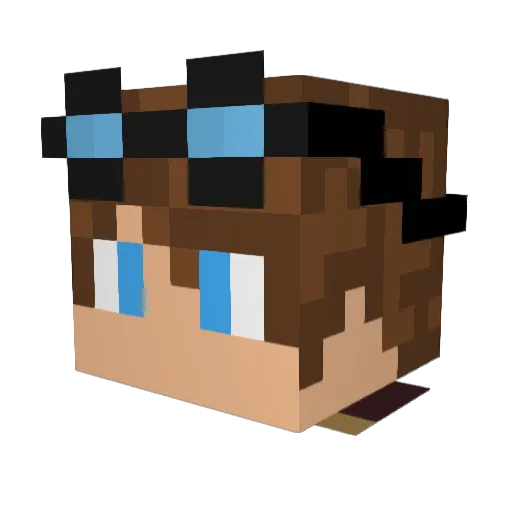 TheWittyPlays Minecraft avatar head, 3D render