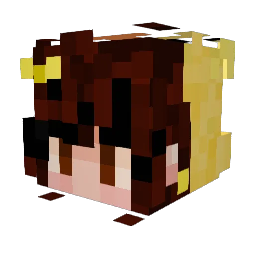 TheWizardBird Minecraft avatar head, 3D render