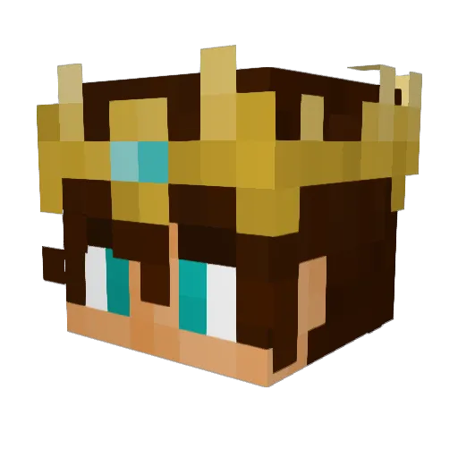 TheWizardHaxer Minecraft avatar head, 3D render