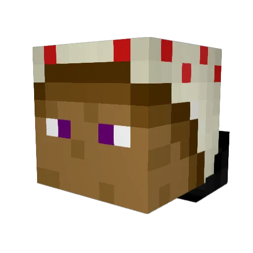 TheWizardPastry Minecraft avatar head, 3D render