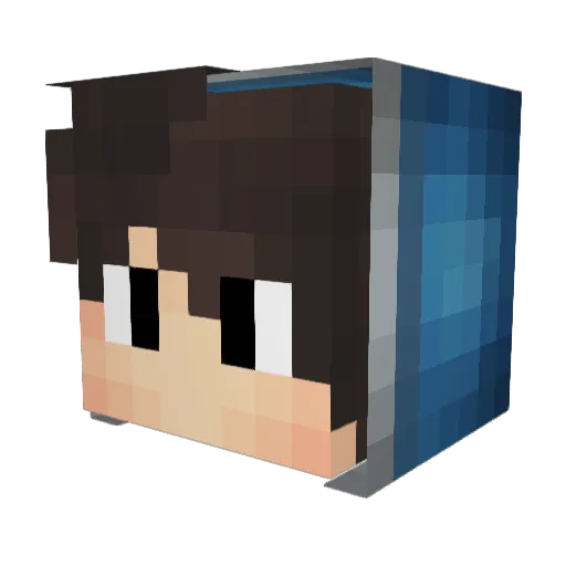 TheWolf204 Minecraft avatar head, 3D render