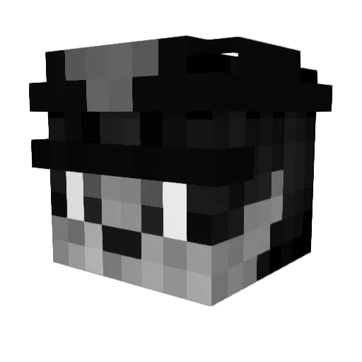 TheWolf9669 Minecraft avatar head, 3D render