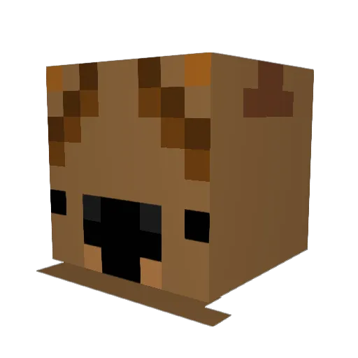 TheWomb4t Minecraft avatar head, 3D render