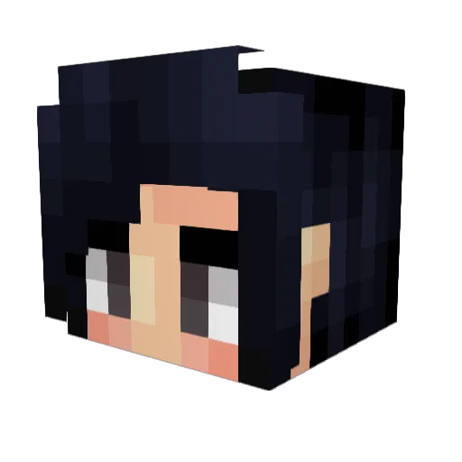 TheWomiKo Minecraft avatar head, 3D render