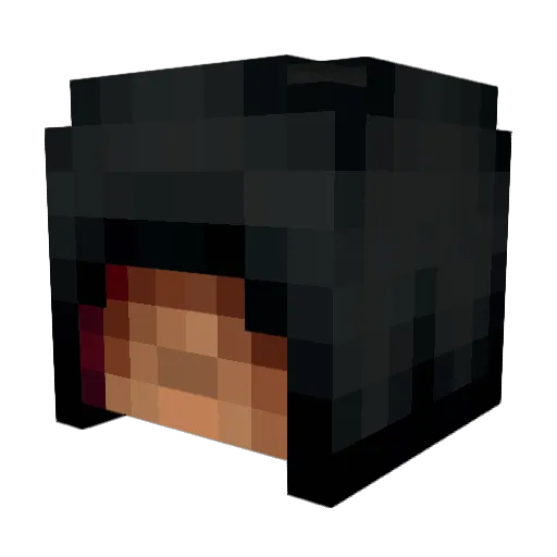 TheWookinator Minecraft avatar head, 3D render