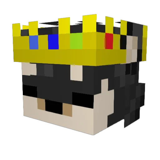 TheWordIsDrBird Minecraft avatar head, 3D render