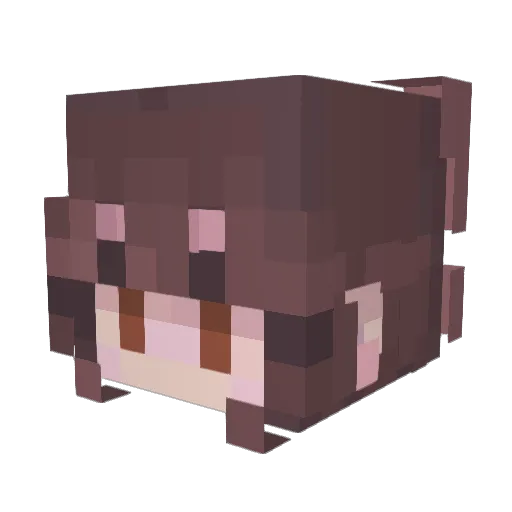 TheWorld7342 Minecraft avatar head, 3D render