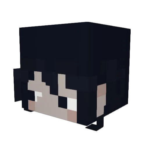 TheWutface Minecraft avatar head, 3D render