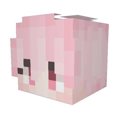 TheXiaoPi233 Minecraft avatar head, 3D render
