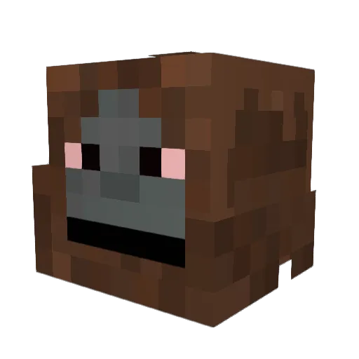 TheYokoTime Minecraft avatar head, 3D render