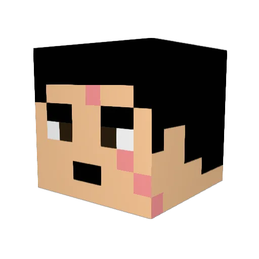 TheYourney Minecraft avatar head, 3D render