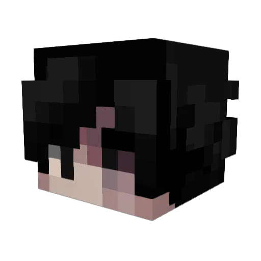 TheZ1lch Minecraft avatar head, 3D render