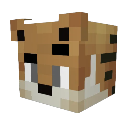 TheZargor Minecraft avatar head, 3D render