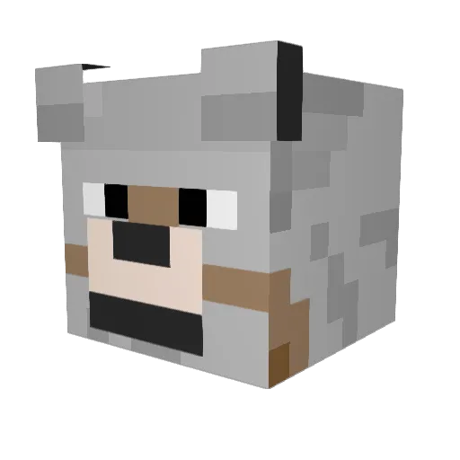 TheZesh123 Minecraft avatar head, 3D render