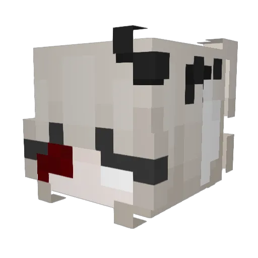 TheZeyQ Minecraft avatar head, 3D render