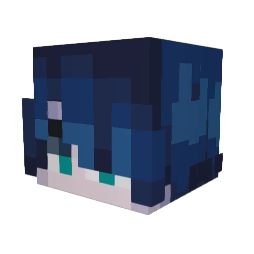 TheZohan5031 Minecraft avatar head, 3D render