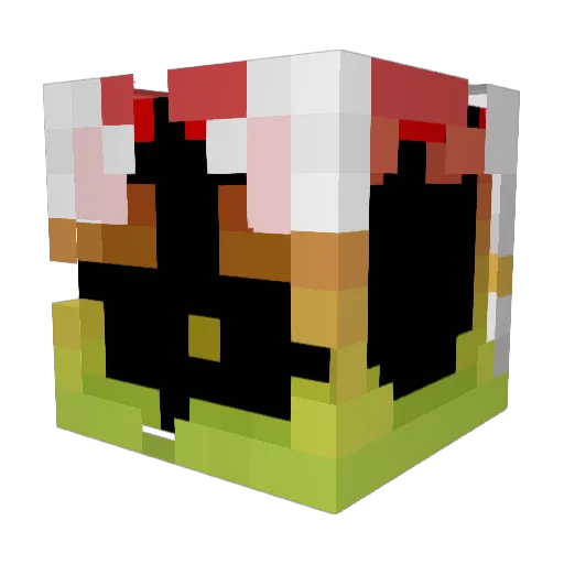 TheZoidMaster Minecraft avatar head, 3D render