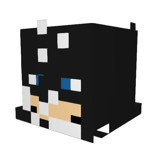 TheZooman1 Minecraft avatar head, 3D render