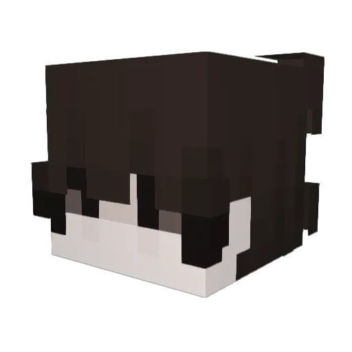 The_AVECTOR Minecraft avatar head, 3D render