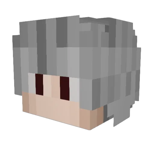 The_Assassin7521 Minecraft avatar head, 3D render