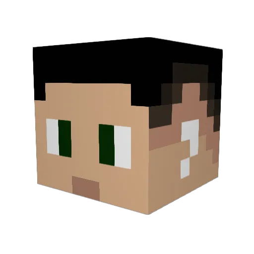 The_BayoPro10 Minecraft avatar head, 3D render