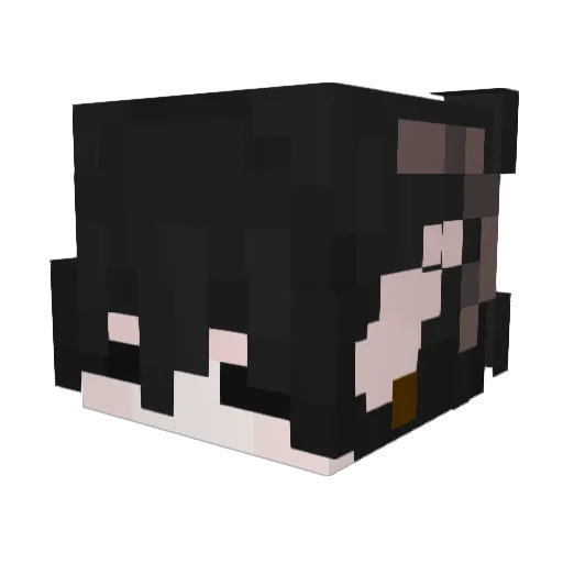 The_Big_D8 Minecraft avatar head, 3D render
