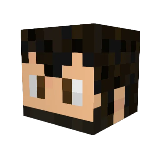 The_BirdNest Minecraft avatar head, 3D render