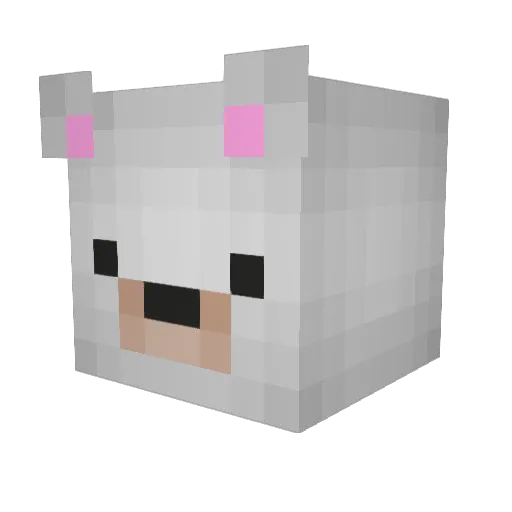 The_BirdZ Minecraft avatar head, 3D render