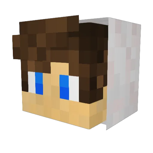 The_Bread5 Minecraft avatar head, 3D render