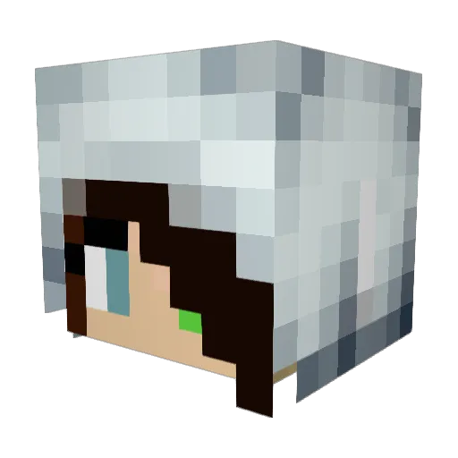 The_Bulma Minecraft avatar head, 3D render