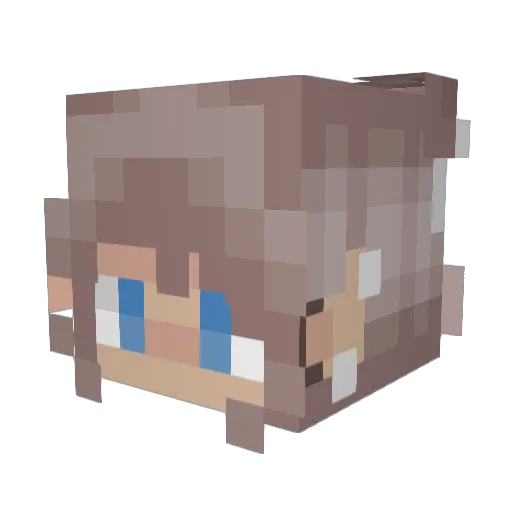 The_Bushh Minecraft avatar head, 3D render