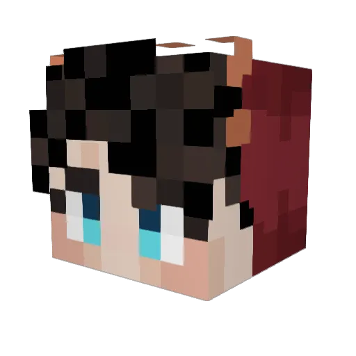 The_Camster1 Minecraft avatar head, 3D render
