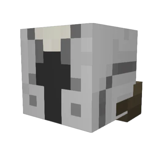 The_Creeper1707 Minecraft avatar head, 3D render