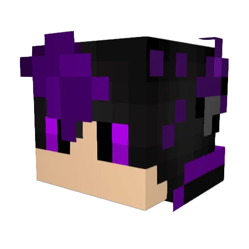 The_DarkWolf95 Minecraft avatar head, 3D render