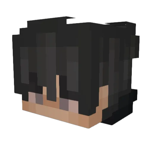 The_Destroyer145 Minecraft avatar head, 3D render