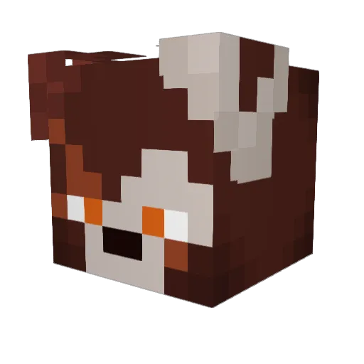 The_Doctor16 Minecraft avatar head, 3D render