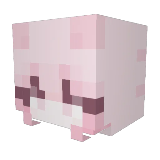 The_Dragon_225 Minecraft avatar head, 3D render