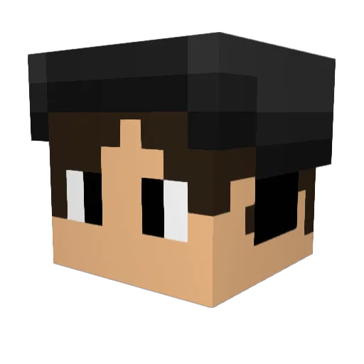 The_Dude773 Minecraft avatar head, 3D render
