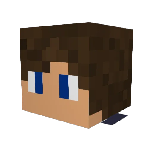 The_Eleven00 Minecraft avatar head, 3D render