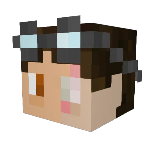 The_Explainer Minecraft avatar head, 3D render