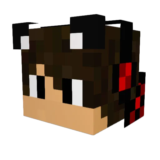 The_FOX_LP Minecraft avatar head, 3D render