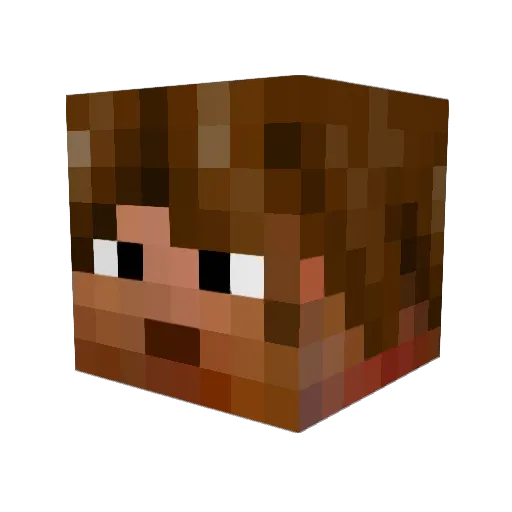 The_Fake_Panda Minecraft avatar head, 3D render