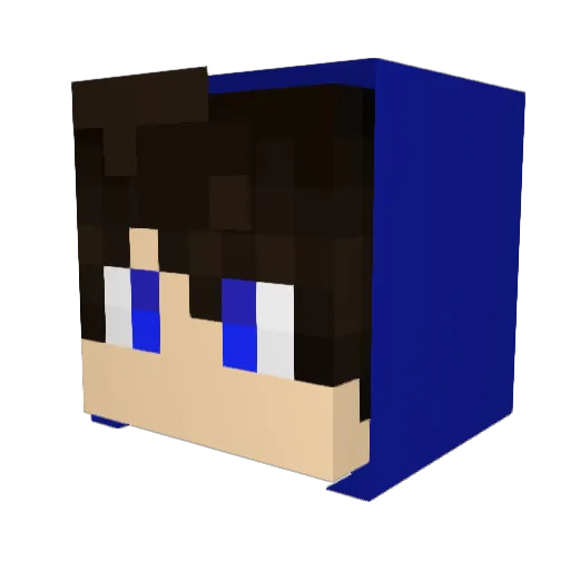 The_Fantom_YT Minecraft avatar head, 3D render
