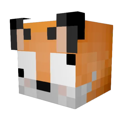 The_FreedoM Minecraft avatar head, 3D render