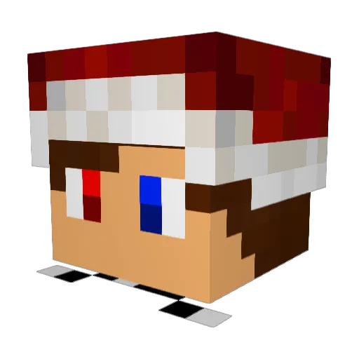 The_Gamer23 Minecraft avatar head, 3D render