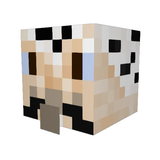 The_Gaming_Jay Minecraft avatar head, 3D render