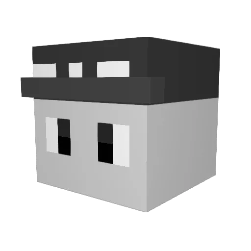 The_Goofballs Minecraft avatar head, 3D render