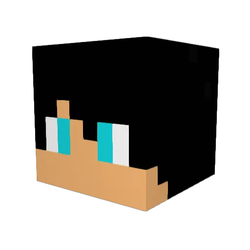 The_GreysonS Minecraft avatar head, 3D render